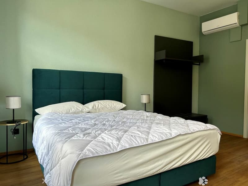 1.5-Zimmerwohnung im Zentrum von Interlaken (2)
