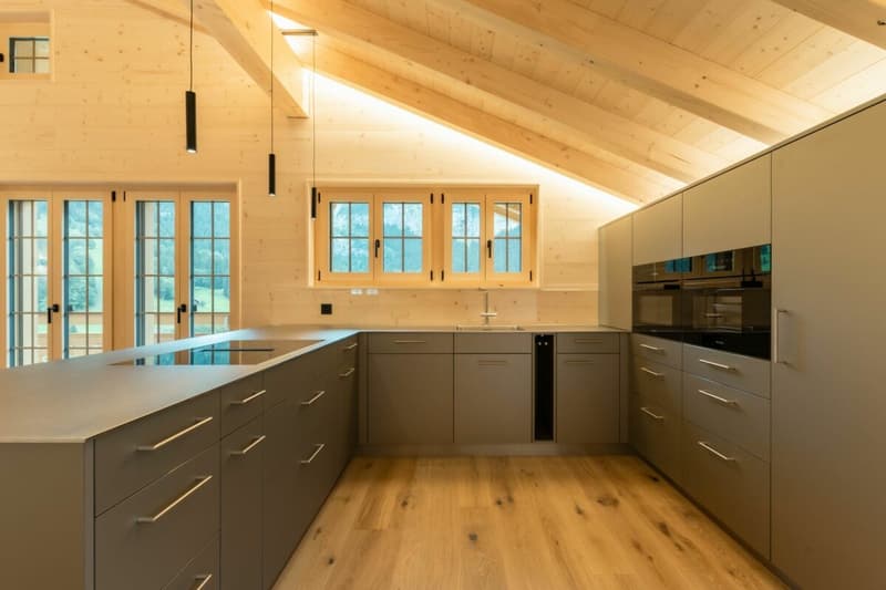 Erstbezug in wunderschöner, modern ausgebauter 4-Zimmerwohnung (1)