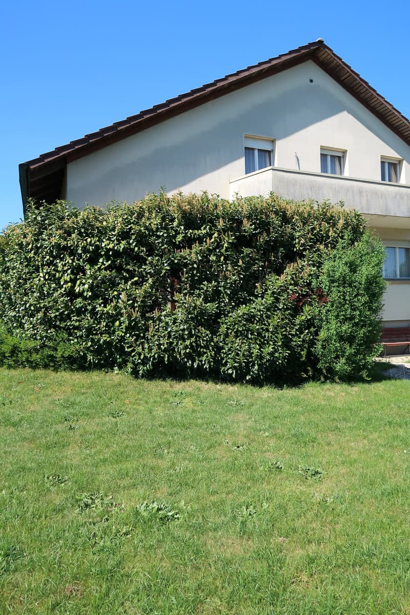 Garten
