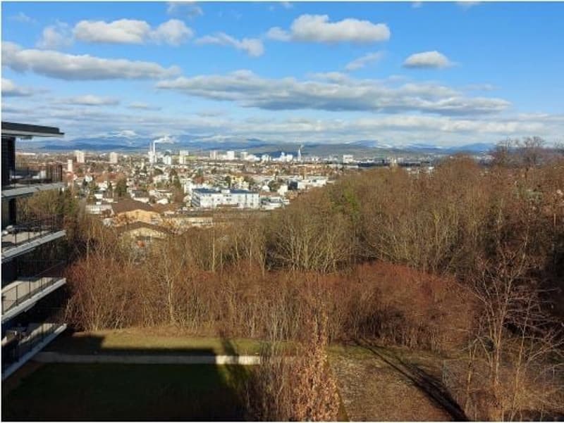 126 m2 Attika Wohnerlebnis in Allschwil mit Blick über Basel (1)