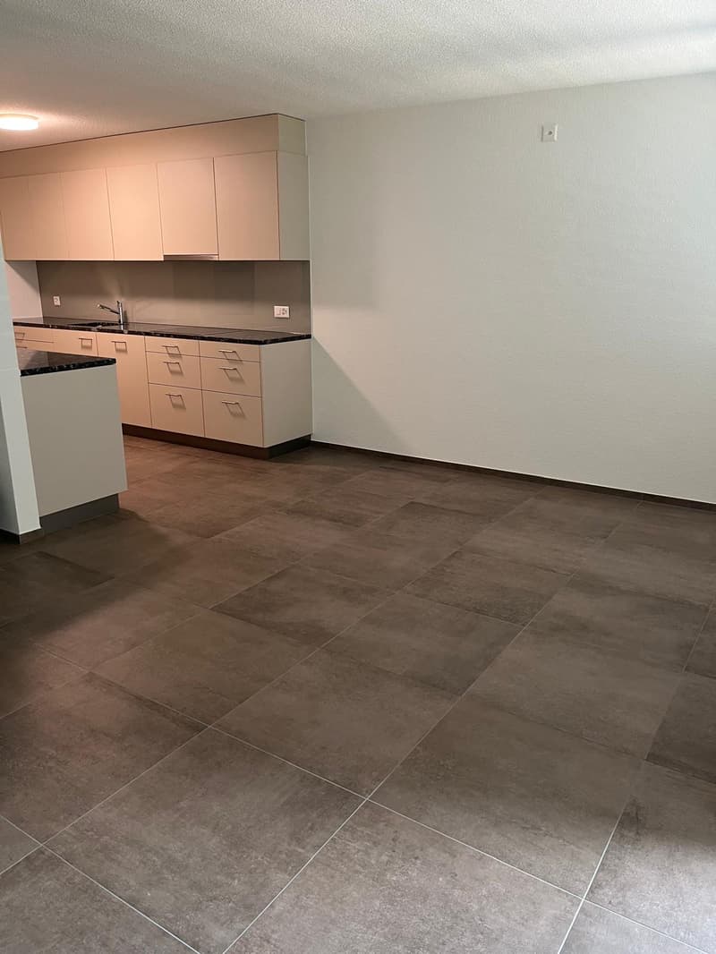 Helle 4.5-Zimmer-Wohnung mit Balkon und schöner Aussicht in Zuchwil (3)