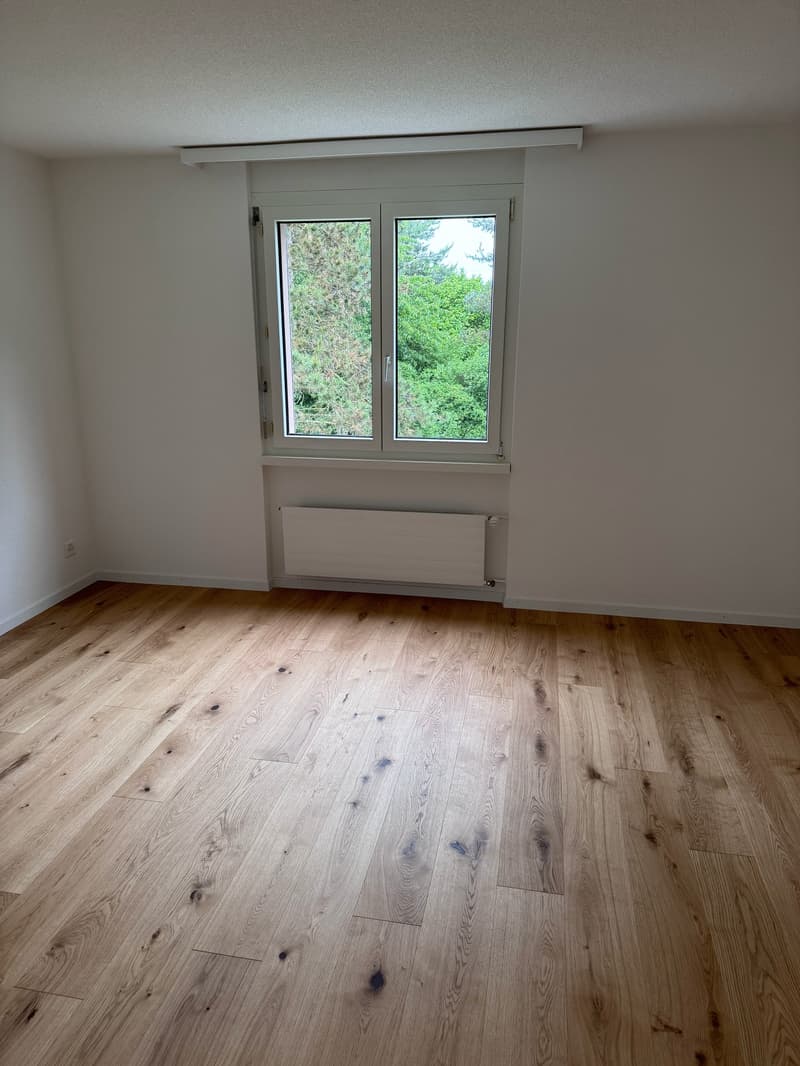 Gepflegtes 5.5-Zimmer-Reihenhaus (11)