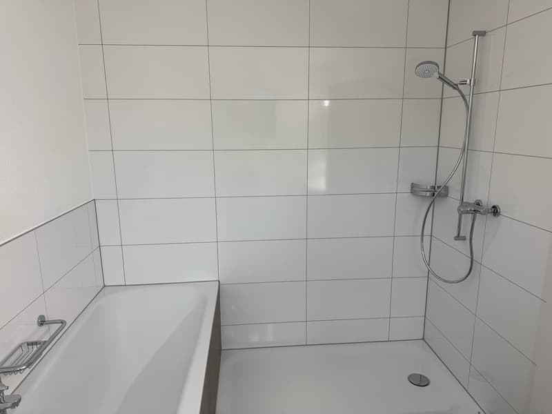 Gepflegtes 5.5-Zimmer-Reihenhaus (14)