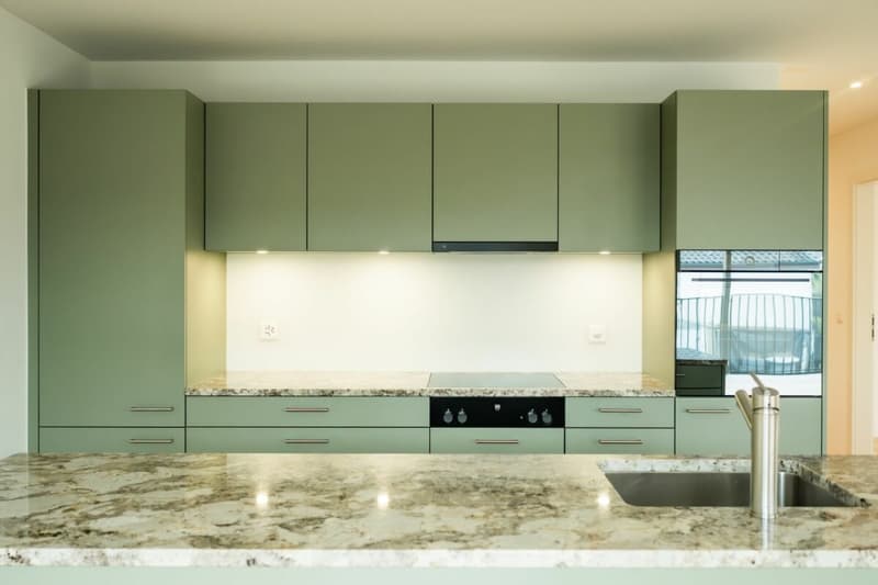 Appartement neuf avec grande terrasse couverte au cœur de Seedorf (2)