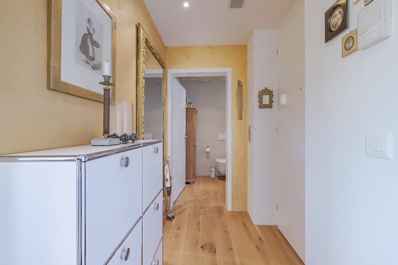 Moderne Attikawohnung mit traumhafter Weitsicht (7)