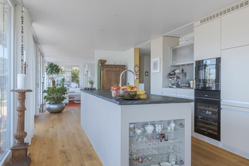 Moderne Attikawohnung mit traumhafter Weitsicht (3)