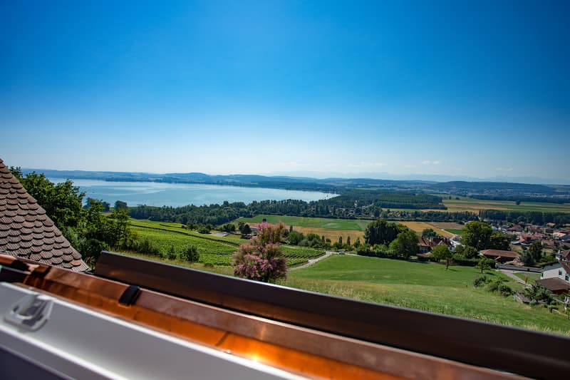 LOFT À BELLERIVE (VD), MEUBLÉ, DURÉE DÉTERMINÉE (1)