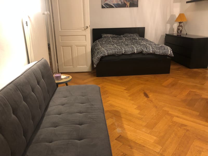 APPARTEMENT 3½ PIÈCES À GENÈVE - CENTRE, MEUBLÉ, DURÉE DÉTERMINÉE (8)