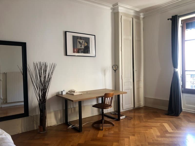 APPARTEMENT 3½ PIÈCES À GENÈVE - CENTRE, MEUBLÉ, DURÉE DÉTERMINÉE (3)