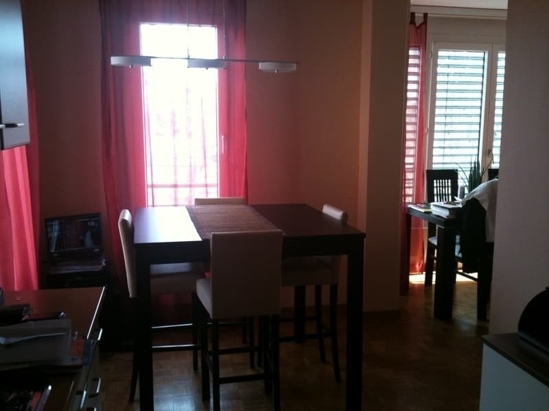 APPARTEMENT 3 PIÈCES À GENÈVE - CHÂTELAINE, MEUBLÉ (5)