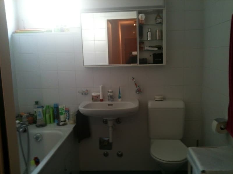APPARTEMENT 3 PIÈCES À GENÈVE - CHÂTELAINE, MEUBLÉ (9)