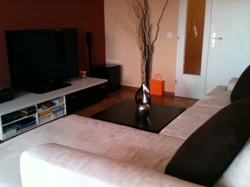 APPARTEMENT 3 PIÈCES À GENÈVE - CHÂTELAINE, MEUBLÉ (2)
