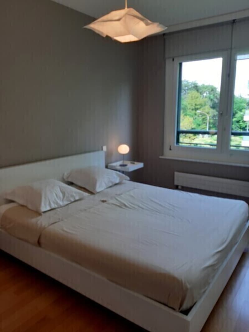 APPARTEMENT 4 PIÈCES À GENÈVE - EAUX-VIVES, MEUBLÉ (6)
