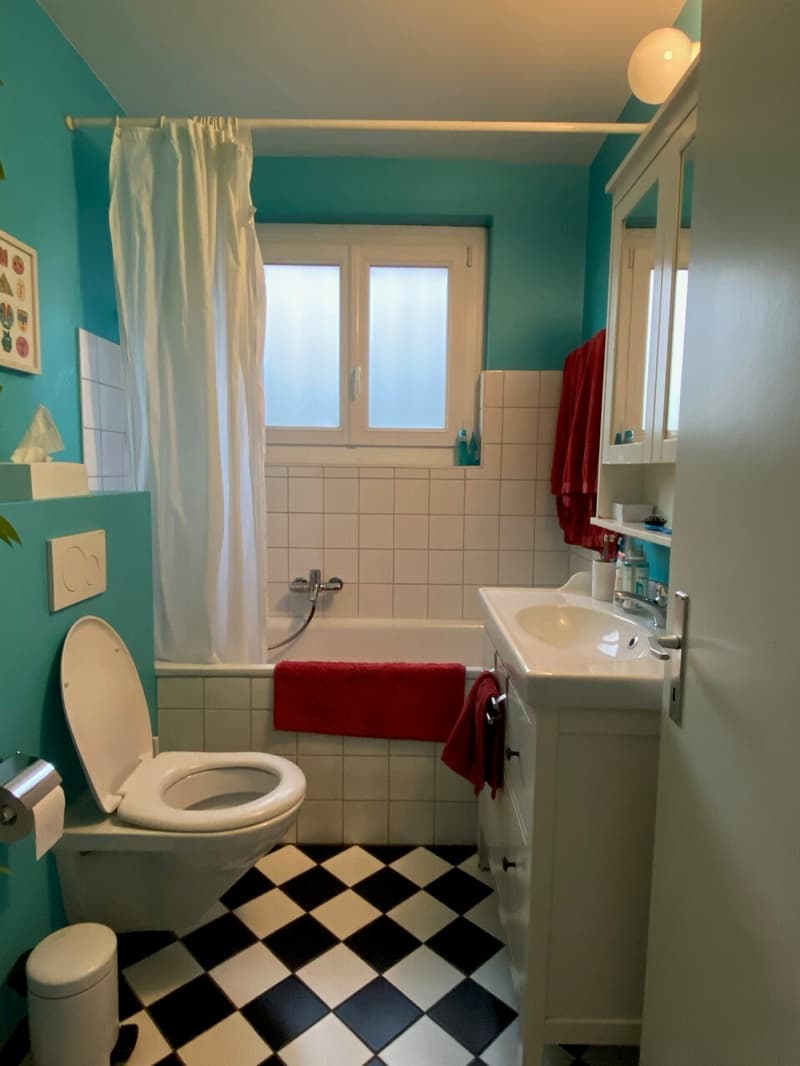 MAISON 7½ PIÈCES À VILLARS-SUR-GLÂNE (FR), MEUBLÉ, DURÉE DÉTERMINÉE (12)