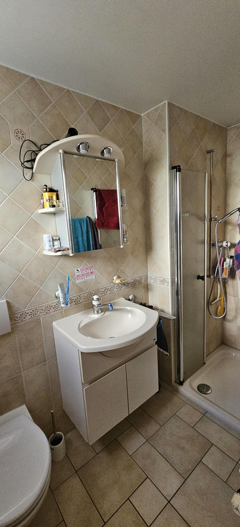 APPARTEMENT 4½ PIÈCES À FRIBOURG (FR), MEUBLÉ, DURÉE DÉTERMINÉE (10)