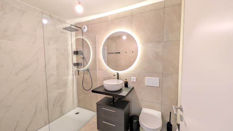 APPARTEMENT 3½ PIÈCES À CHAVANNES-PRÈS-RENENS (VD), MEUBLÉ, DURÉE DÉTE (6)