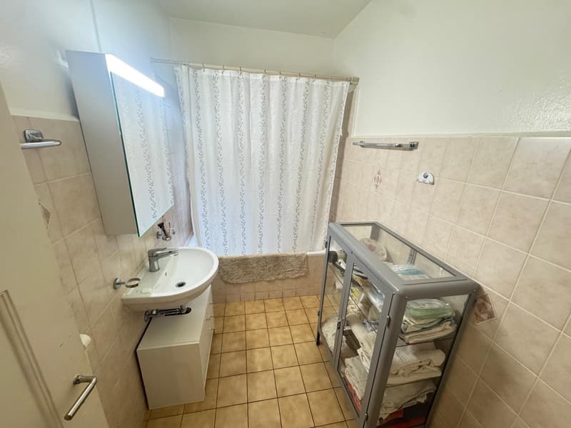 APPARTEMENT 2 PIÈCES À PULLY (VD), MEUBLÉ (8)