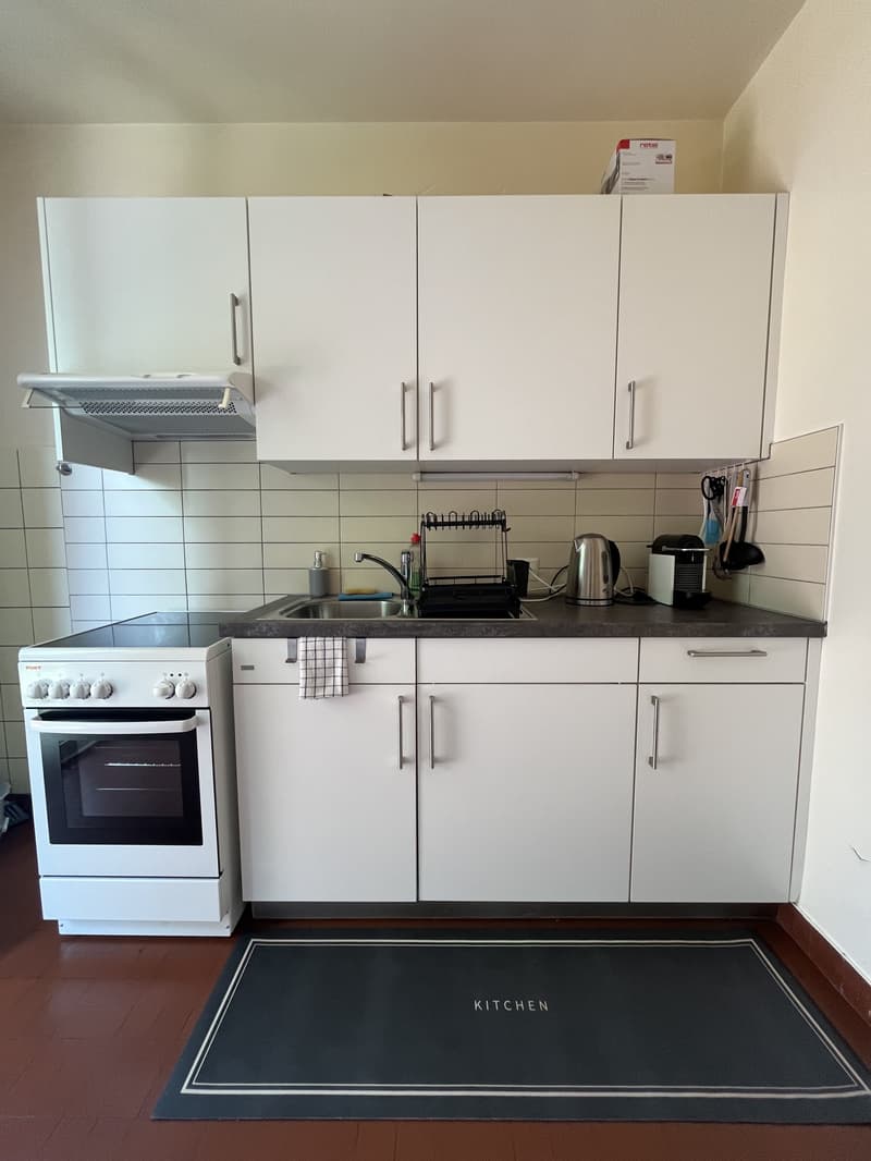 APPARTEMENT 2 PIÈCES À GENÈVE - PLAINPALAIS/ACACIAS, MEUBLÉ (4)