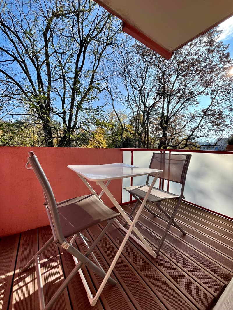 APPARTEMENT 2 PIÈCES À GENÈVE - PLAINPALAIS/ACACIAS, MEUBLÉ (8)