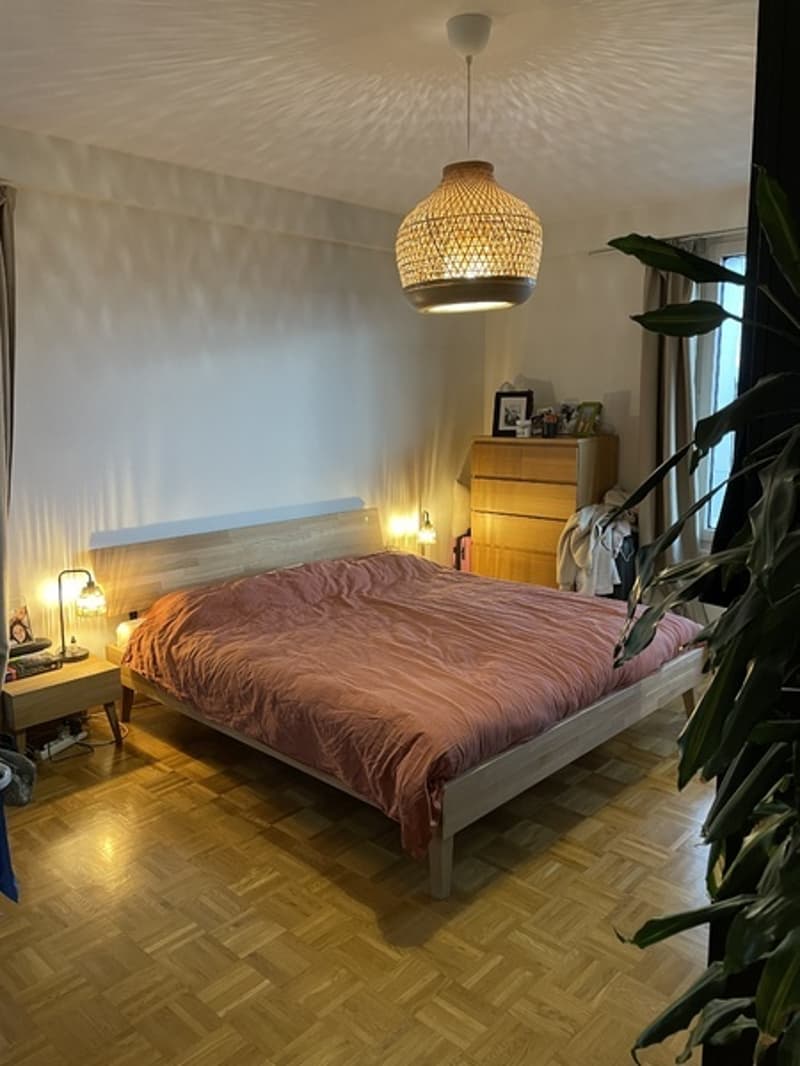 APPARTEMENT 4 PIÈCES À GENÈVE - SAINT-JEAN/CHARMILLES, MEUBLÉ, DURÉE D (3)