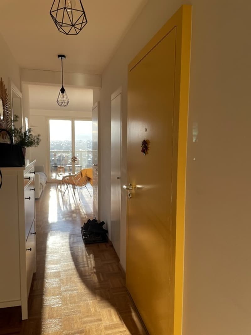 APPARTEMENT 4 PIÈCES À GENÈVE - SAINT-JEAN/CHARMILLES, MEUBLÉ, DURÉE D (5)