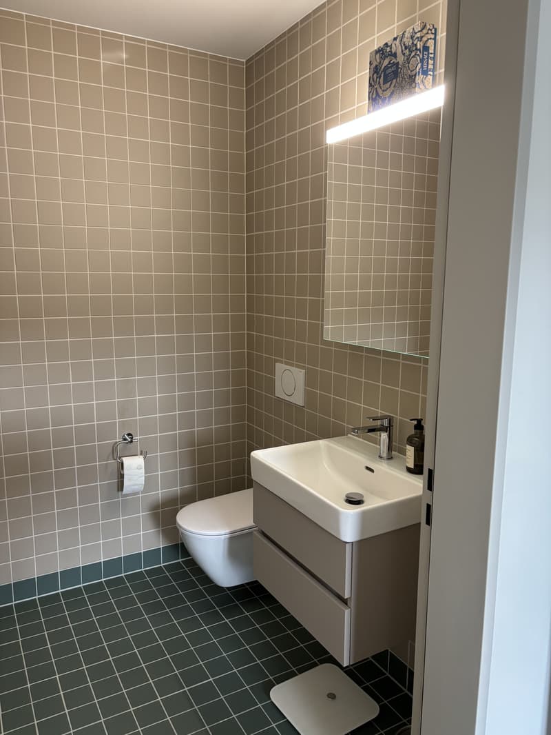 APPARTEMENT 3½ PIÈCES À BIEL/BIENNE (BE), MEUBLÉ, DURÉE DÉTERMINÉE (7)