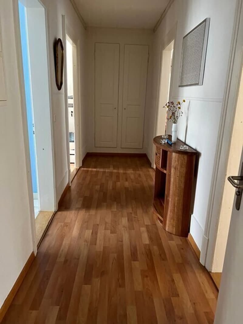 APPARTEMENT 3 PIÈCES À BIEL/BIENNE (BE), MEUBLÉ, DURÉE DÉTERMINÉE (9)