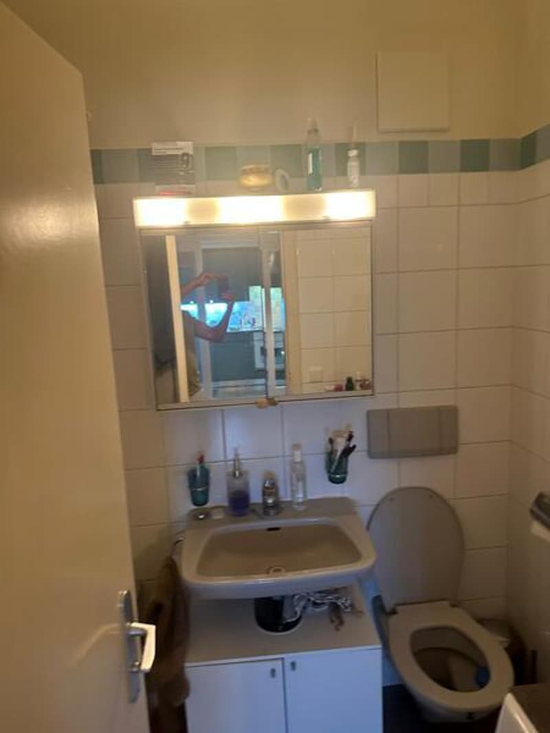 APPARTEMENT MANSARDÉ 2½ PIÈCES À GENÈVE - CENTRE, MEUBLÉ, DURÉE DÉTERM (8)