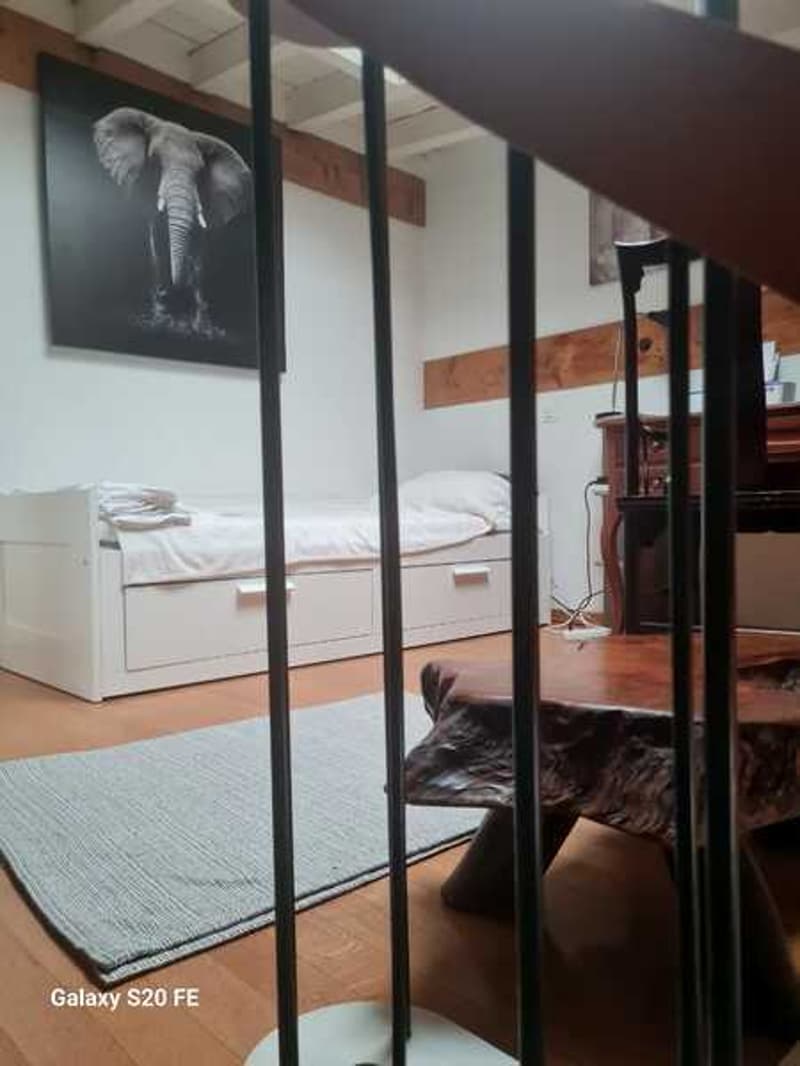 APPARTEMENT MANSARDÉ 2½ PIÈCES À GENÈVE - CENTRE, MEUBLÉ, DURÉE DÉTERM (6)