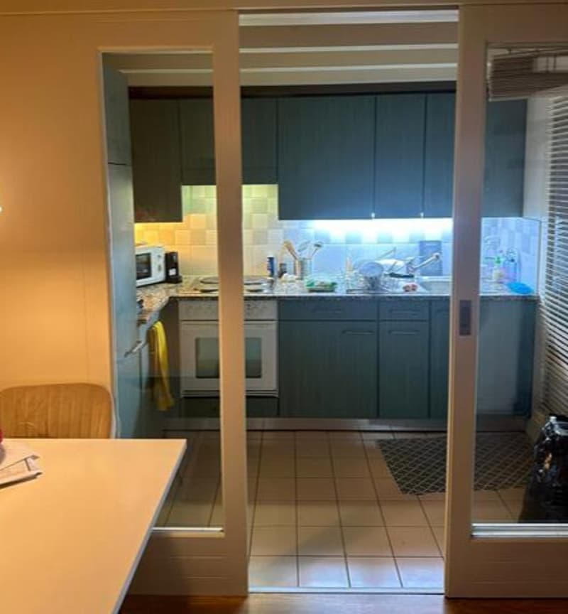 APPARTEMENT MANSARDÉ 2½ PIÈCES À GENÈVE - CENTRE, MEUBLÉ, DURÉE DÉTERM (4)