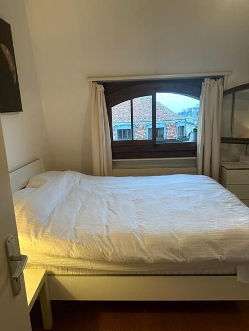 APPARTEMENT MANSARDÉ 2½ PIÈCES À GENÈVE - CENTRE, MEUBLÉ, DURÉE DÉTERM (7)