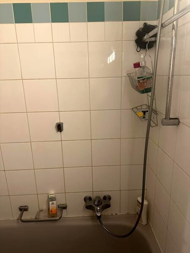 APPARTEMENT MANSARDÉ 2½ PIÈCES À GENÈVE - CENTRE, MEUBLÉ, DURÉE DÉTERM (9)