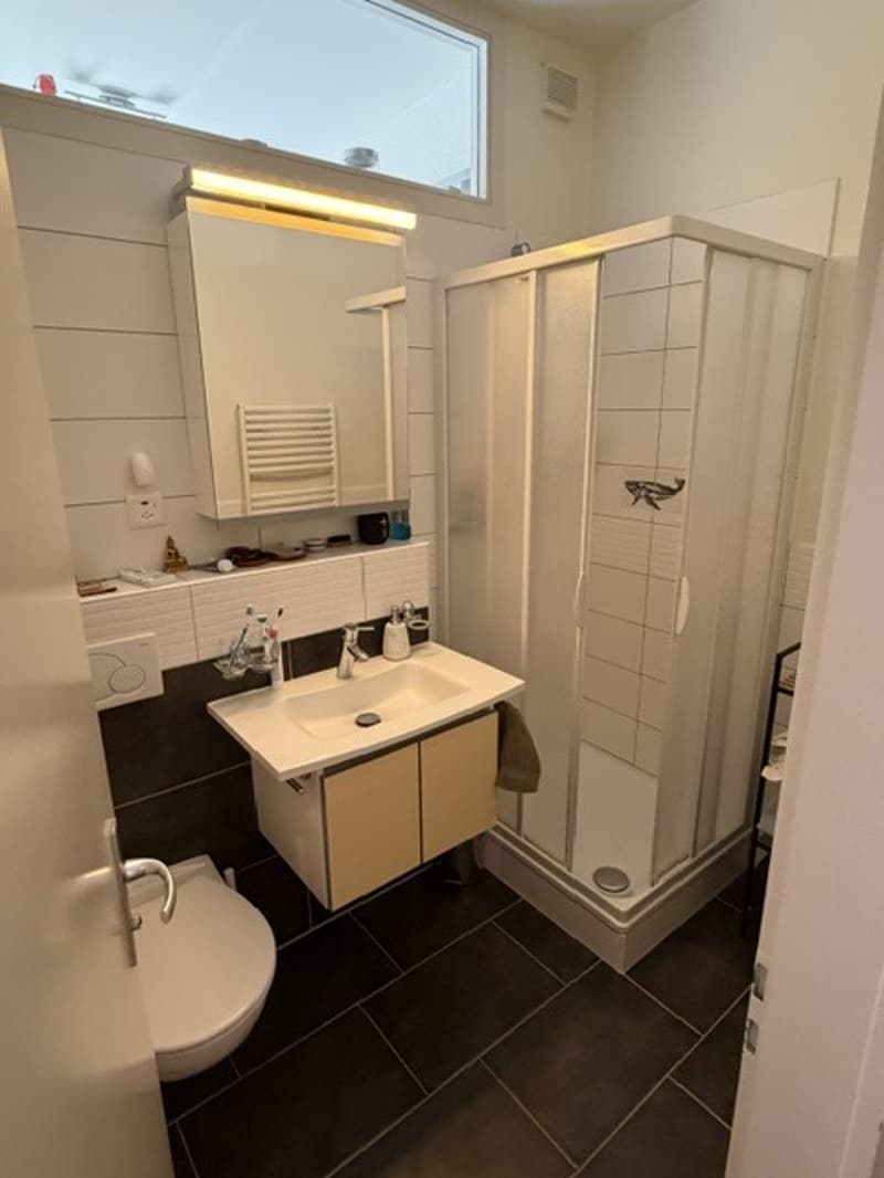 APPARTEMENT 2½ PIÈCES À LAUSANNE - CENTRE-VILLE, MEUBLÉ, DURÉE DÉTERMI (8)