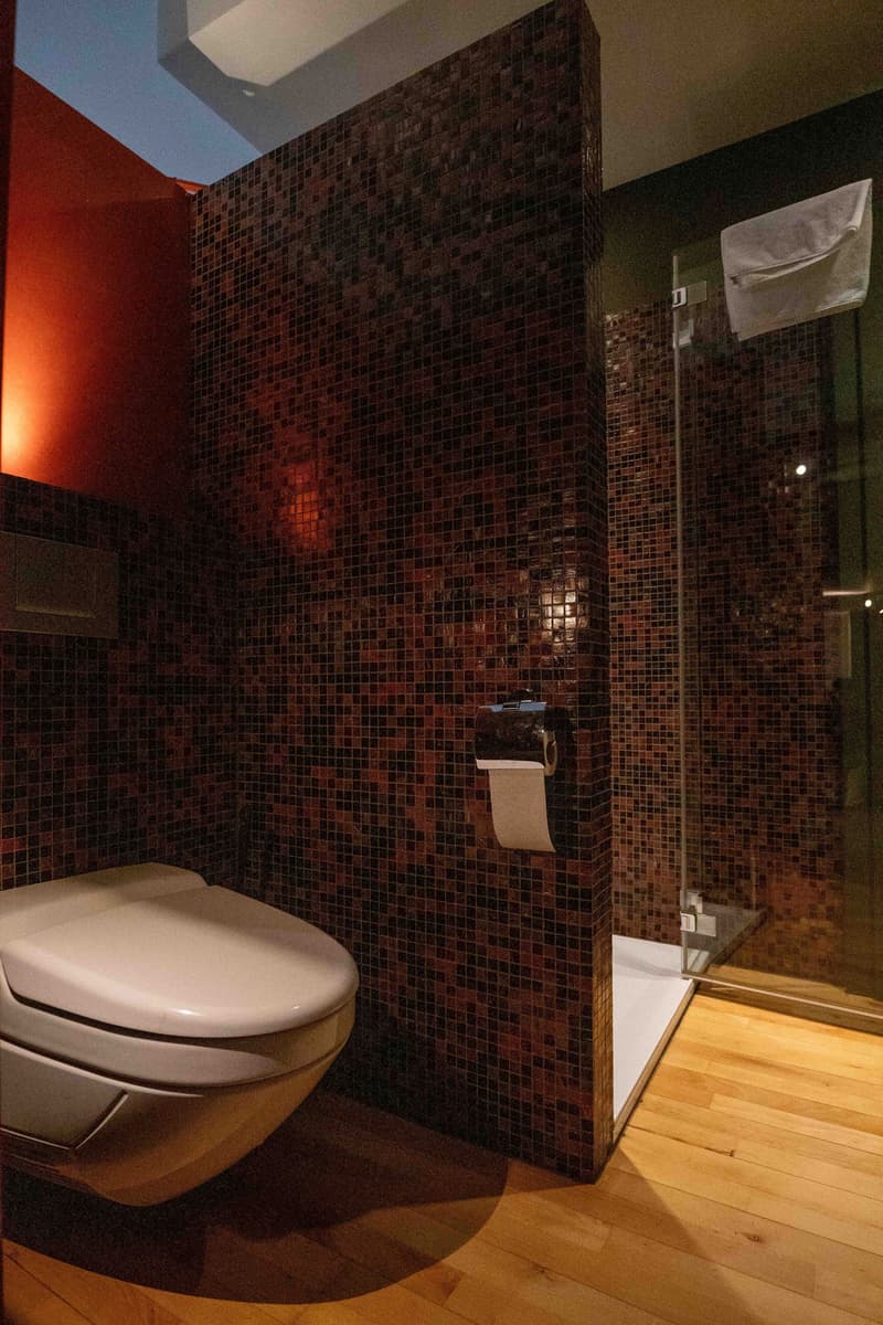 APPARTEMENT 2 PIÈCES À BELLERIVE (VD), MEUBLÉ, DURÉE DÉTERMINÉE (8)