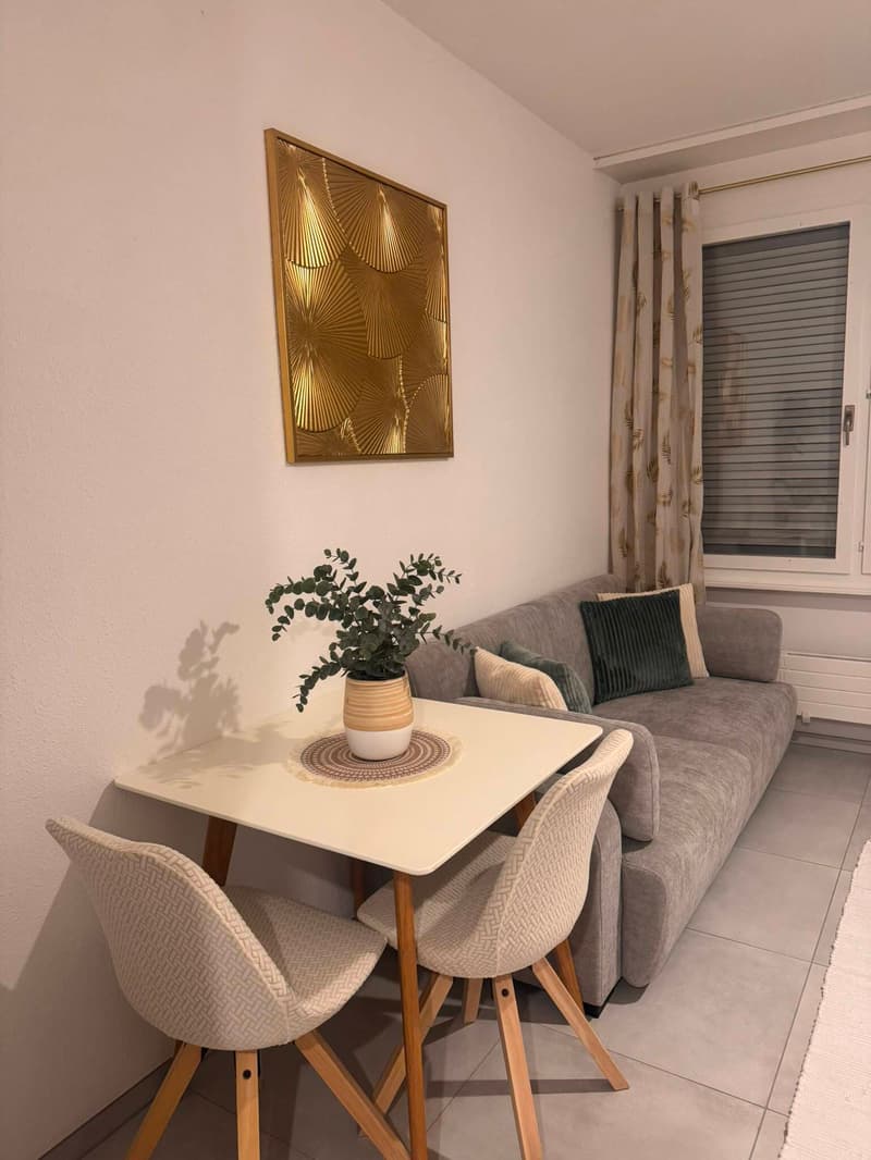 APPARTEMENT 1 PIÈCE À VEVEY (VD), MEUBLÉ, DURÉE DÉTERMINÉE (5)