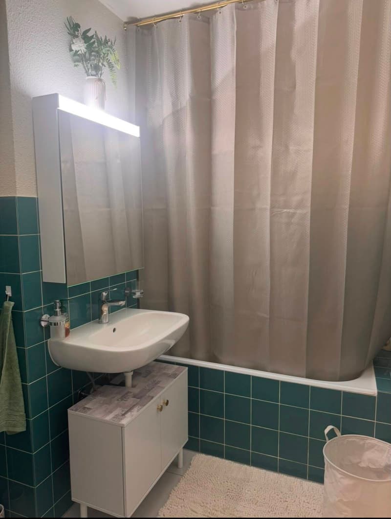 APPARTEMENT 1 PIÈCE À VEVEY (VD), MEUBLÉ, DURÉE DÉTERMINÉE (6)