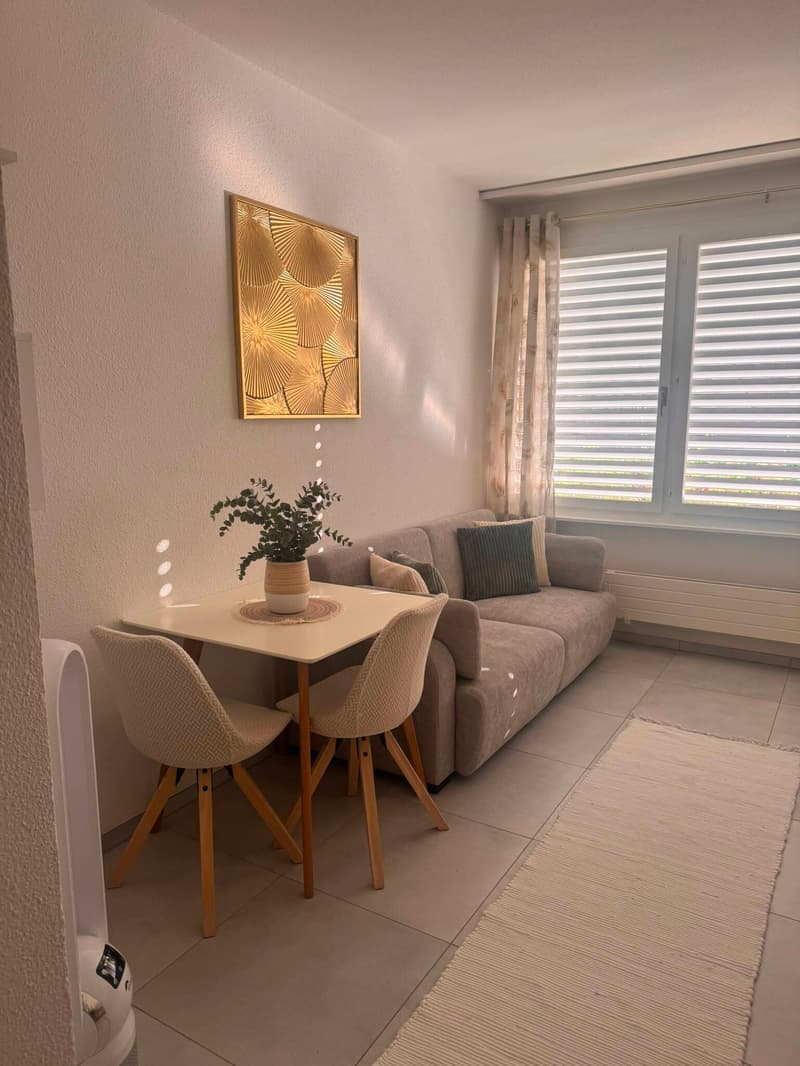 APPARTEMENT 1 PIÈCE À VEVEY (VD), MEUBLÉ, DURÉE DÉTERMINÉE (3)