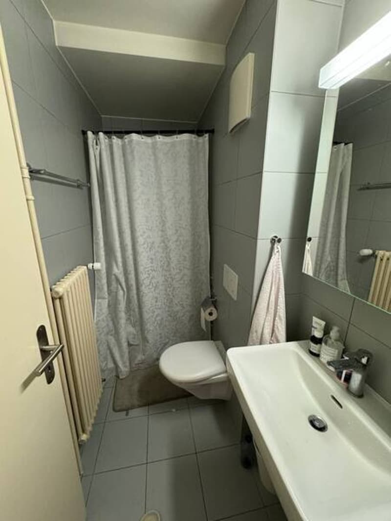 APPARTEMENT 2½ PIÈCES À CHAVANNES-PRÈS-RENENS (VD), MEUBLÉ, DURÉE DÉTE (8)