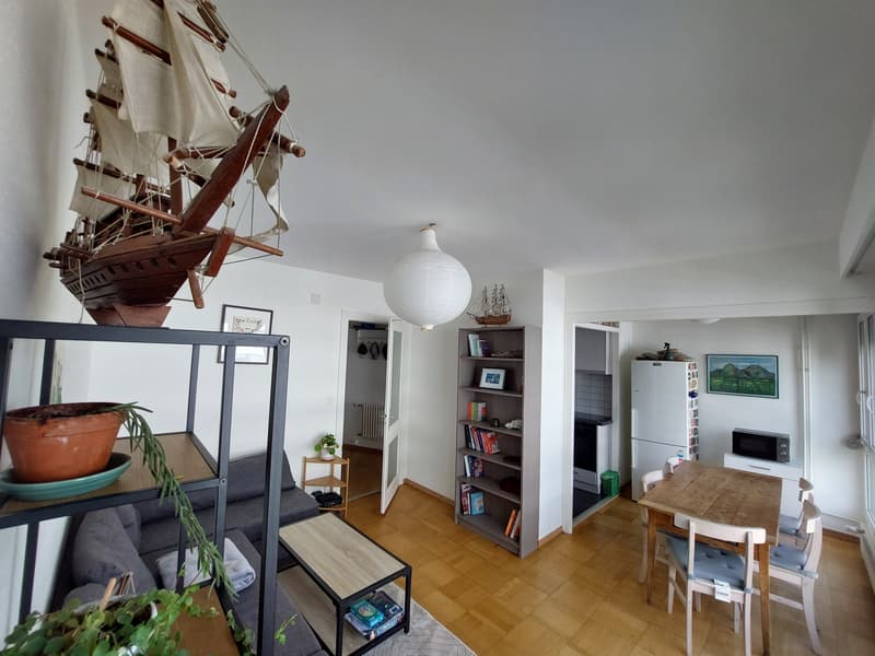APPARTEMENT 3 PIÈCES À GENÈVE - SAINT-JEAN/CHARMILLES, MEUBLÉ, DURÉE D (3)