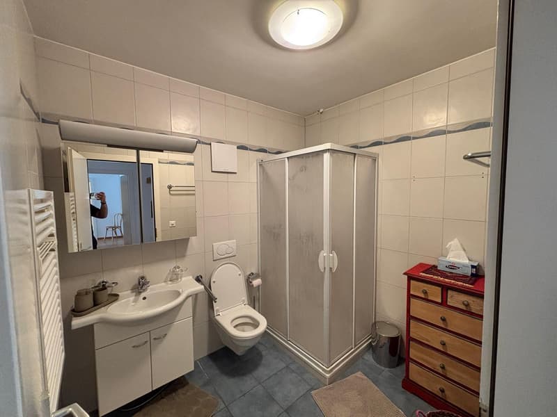 APPARTEMENT 5½ PIÈCES À MONTREUX (VD), MEUBLÉ, DURÉE DÉTERMINÉE (8)