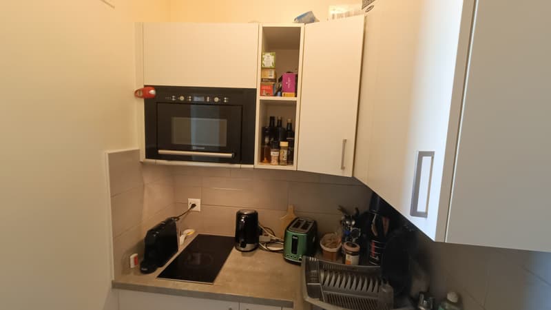 STUDIO À NYON (VD), MEUBLÉ, DURÉE DÉTERMINÉE (4)
