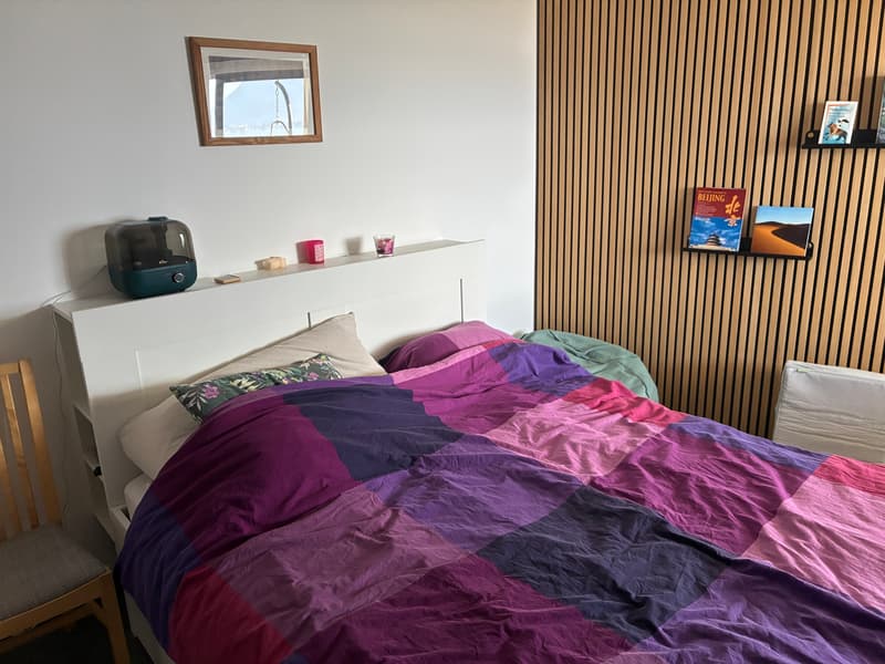 APPARTEMENT 2½ PIÈCES À MONTREUX (VD), MEUBLÉ, DURÉE DÉTERMINÉE (3)