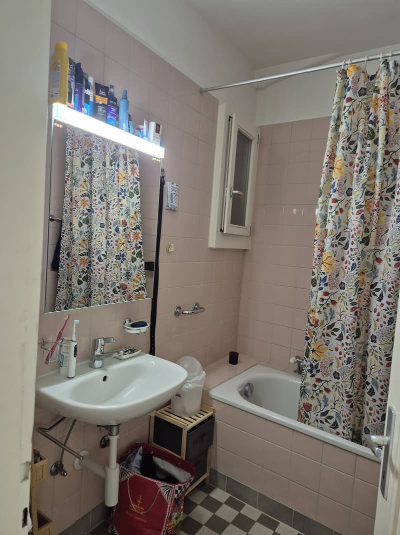 APPARTEMENT 3 PIÈCES À BIEL/BIENNE (BE), MEUBLÉ, DURÉE DÉTERMINÉE (5)