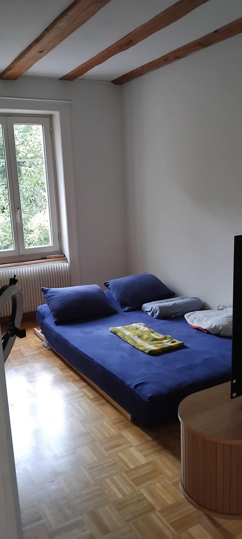APPARTEMENT 2 PIÈCES À BIEL/BIENNE (BE), MEUBLÉ, DURÉE DÉTERMINÉE (4)