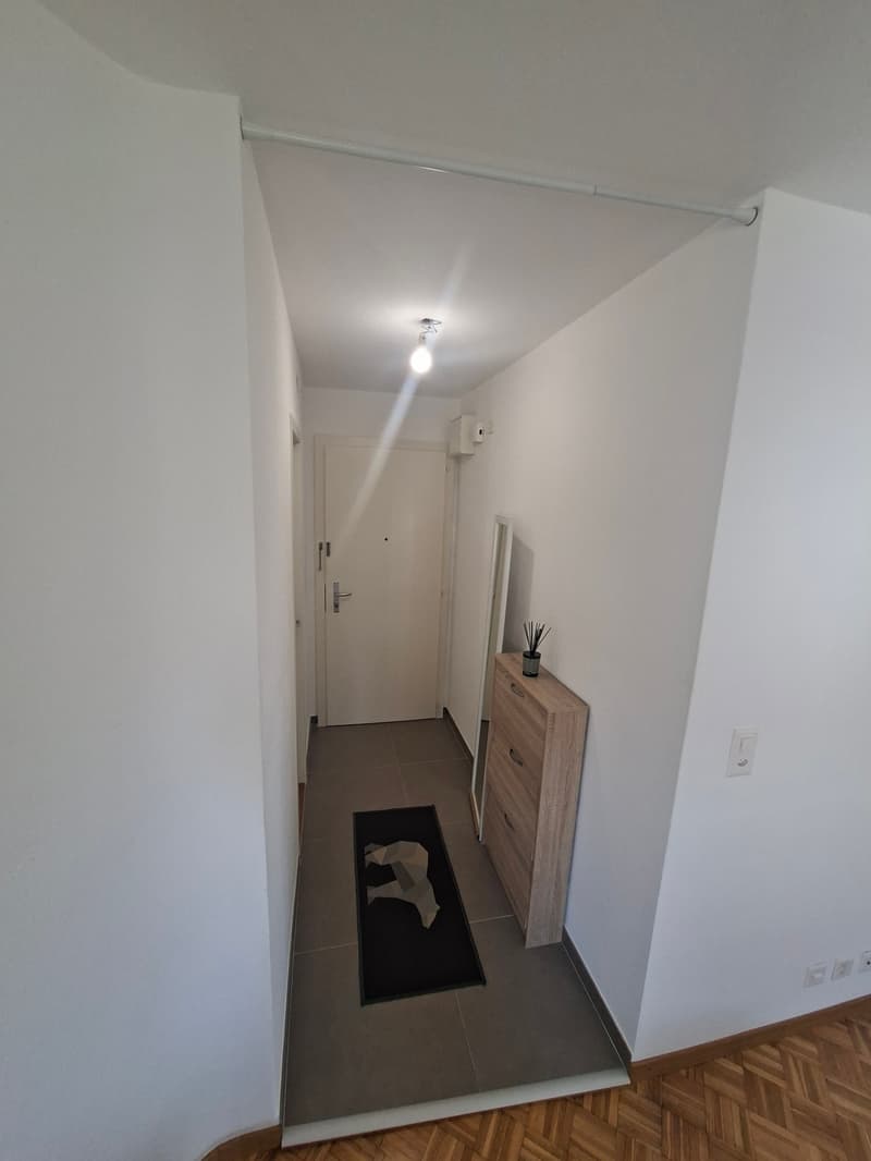 APPARTEMENT 2 PIÈCES À LAUSANNE - MONTOIE/BOURDONETTE, MEUBLÉ, DURÉE D (2)