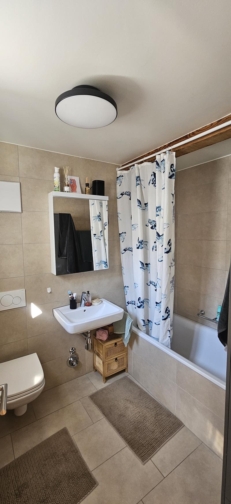 APPARTEMENT MANSARDÉ 3½ PIÈCES À LAUSANNE - CENTRE-VILLE, MEUBLÉ, DURÉ (7)
