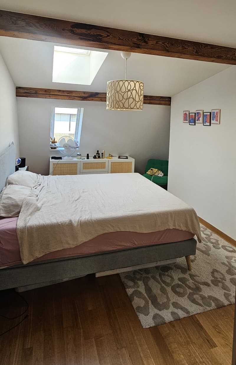 APPARTEMENT MANSARDÉ 3½ PIÈCES À LAUSANNE - CENTRE-VILLE, MEUBLÉ, DURÉ (3)
