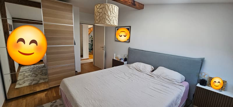 APPARTEMENT MANSARDÉ 3½ PIÈCES À LAUSANNE - CENTRE-VILLE, MEUBLÉ, DURÉ (4)