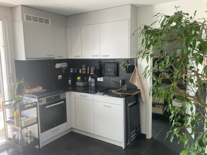 APPARTEMENT 1½ PIÈCE À AVENCHES (VD), MEUBLÉ, DURÉE DÉTERMINÉE (6)