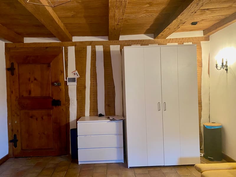 APPARTEMENT 1 PIÈCE À FRIBOURG (FR), MEUBLÉ (6)